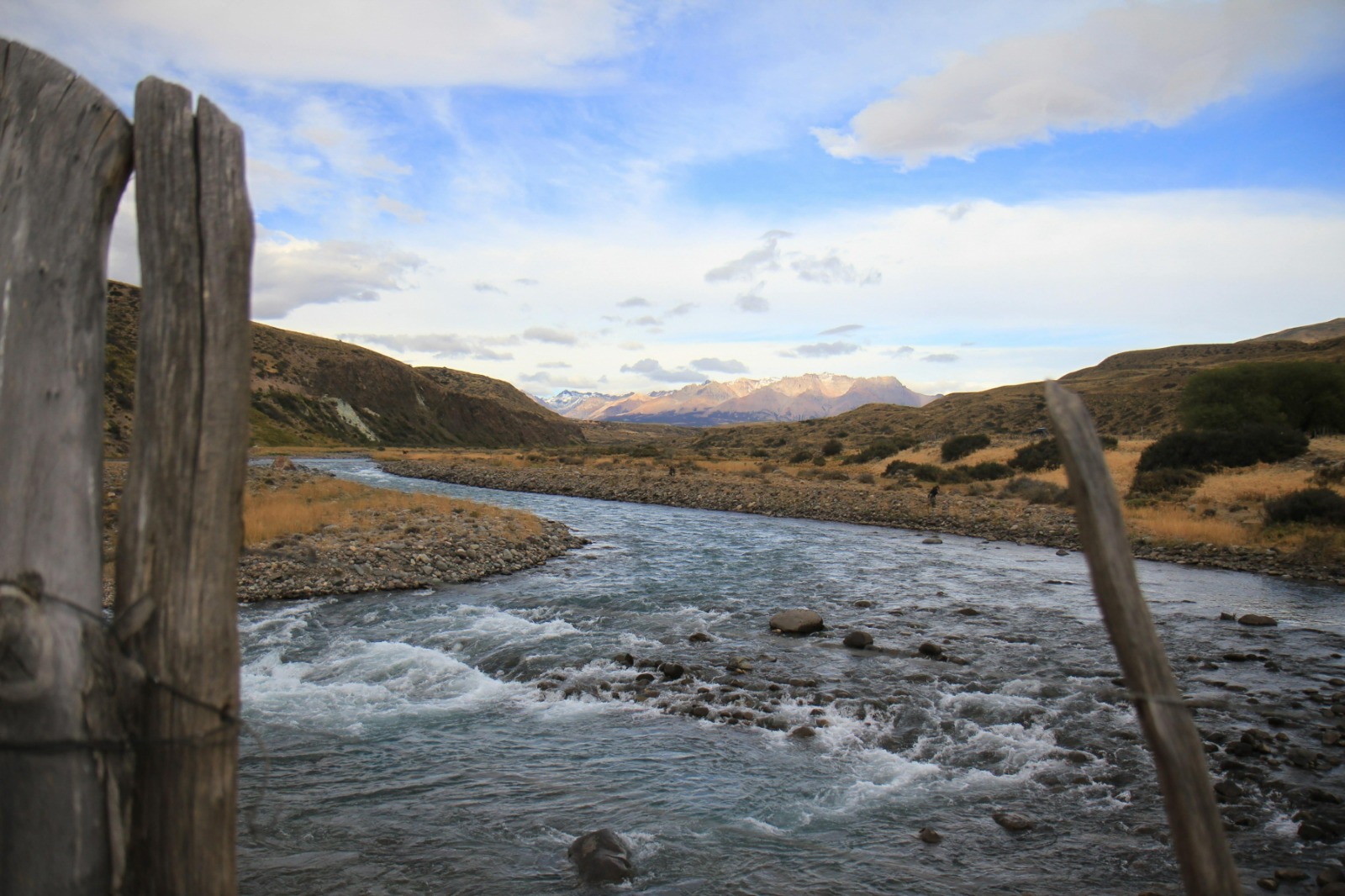 Bachforellen-Patagonien