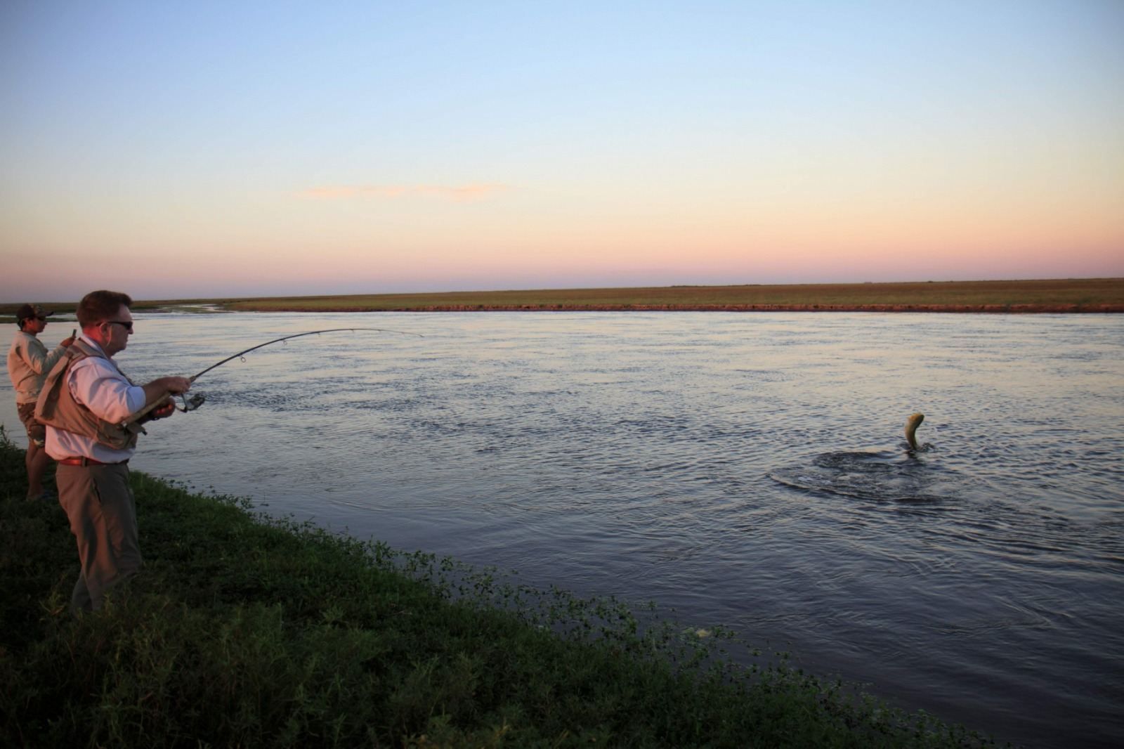 Golden-Dorado-Argentinien